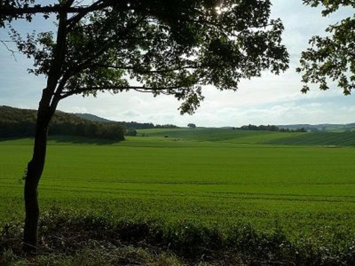Sulzfeld  Feriendorf Sulzfeldヴィラ エクステリア 写真