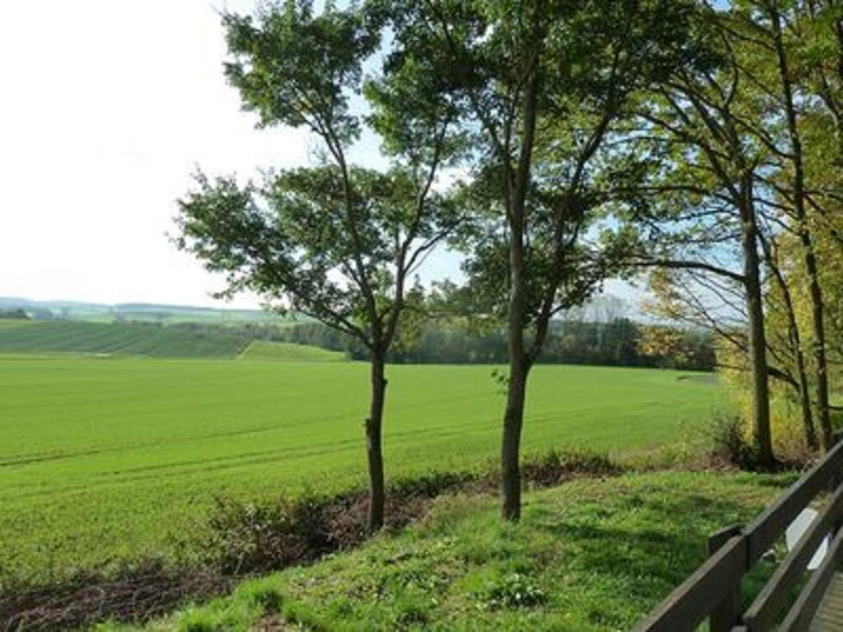 Sulzfeld  Feriendorf Sulzfeldヴィラ エクステリア 写真