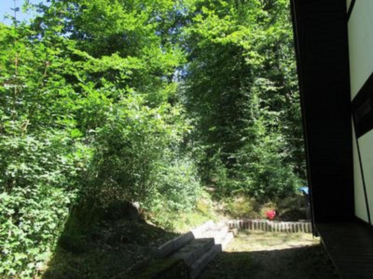 Sulzfeld  Feriendorf Sulzfeldヴィラ エクステリア 写真